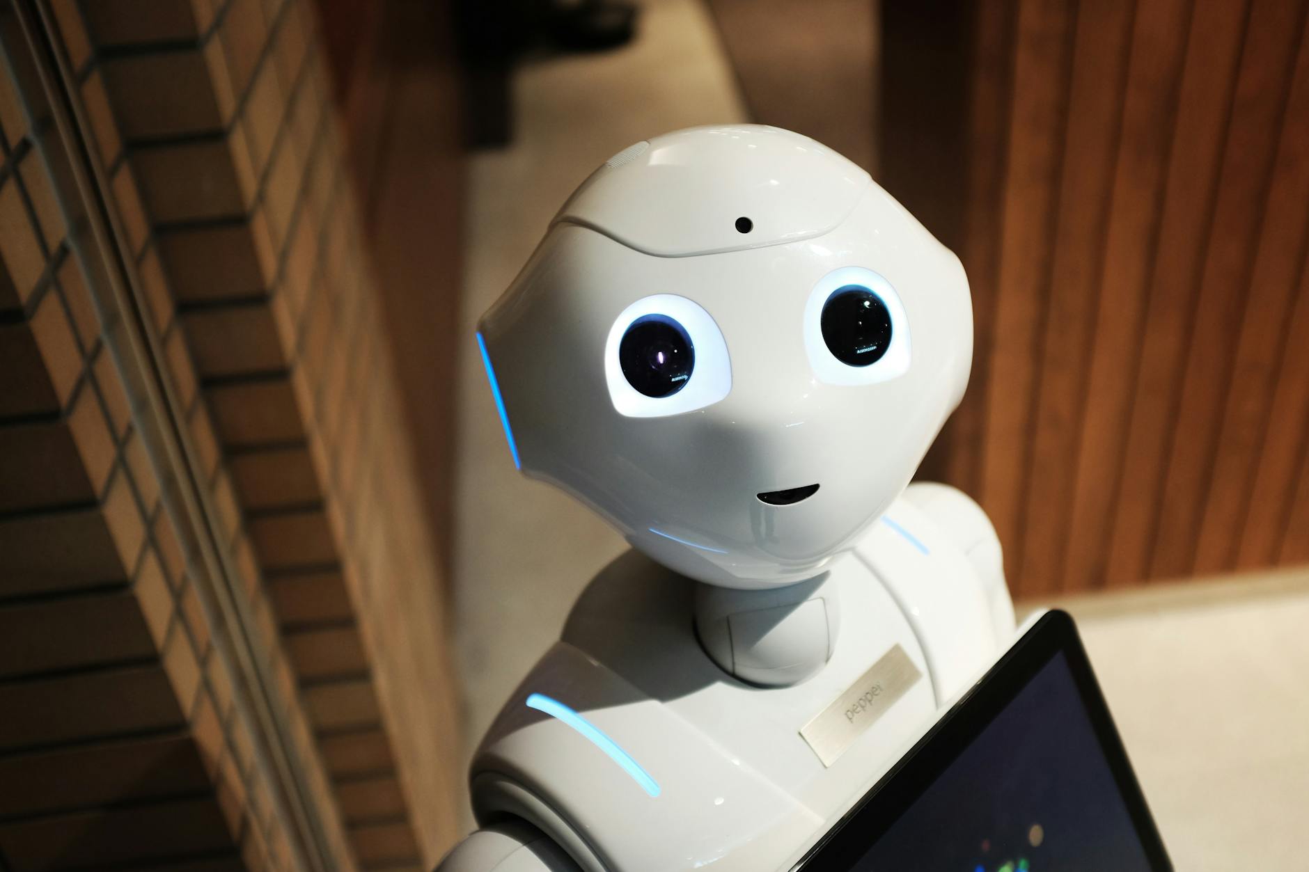 AI in smart tourism