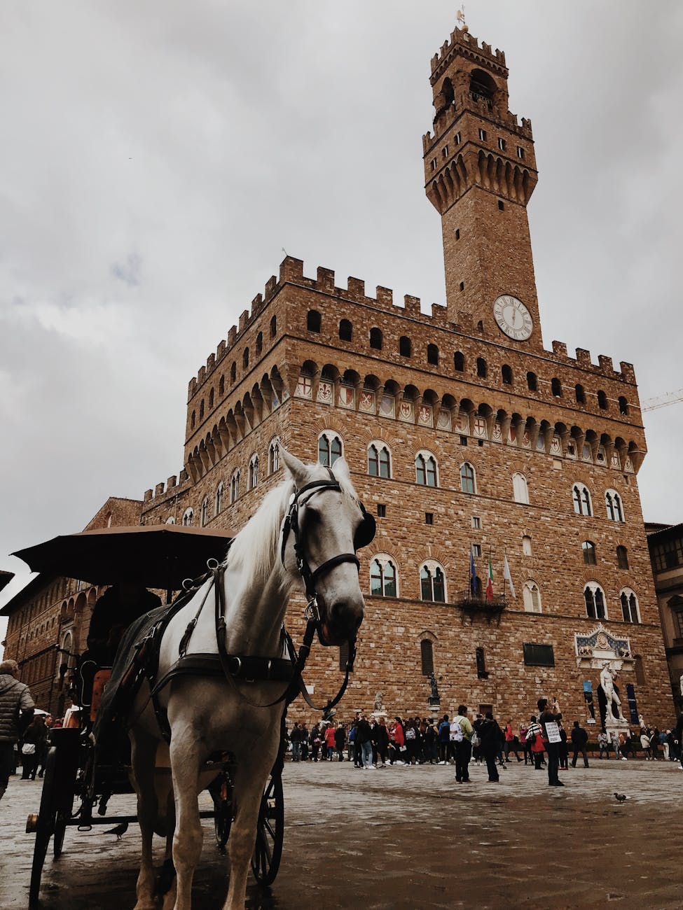 horse with carriage near people and building