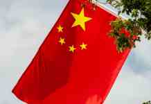 chinese national flag amidst greenery