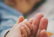 tender baby hand holding adult finger in focus